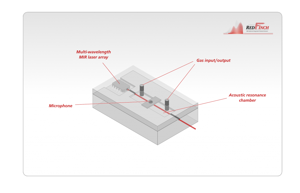 Gas sensor